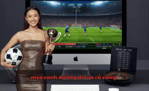 mẹo canh đường đi của cá vàng